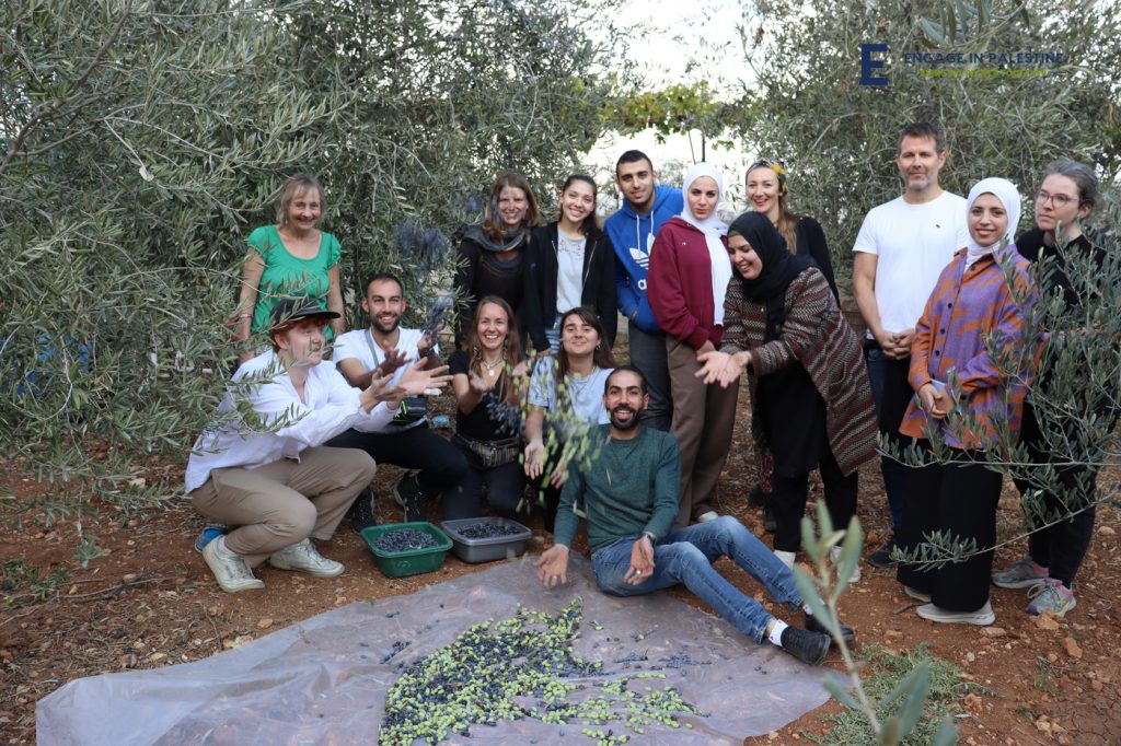 The Internship In The West Bank, Palestine Program