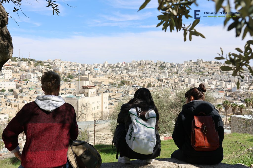 Volunteer Opportunities In Law And Human Rights In Palestine