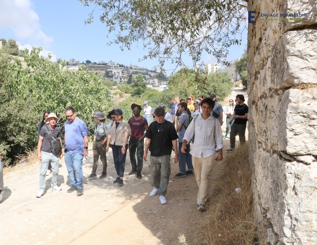 Guided Tours in Palestinian Refugee Camps